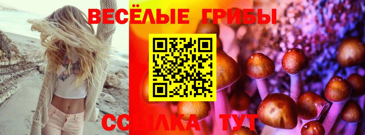 Тельмана  Галлюциногенные грибы Psilocybine cubensis  Псилоцибиновые грибы мицелий  Вход с VPN 